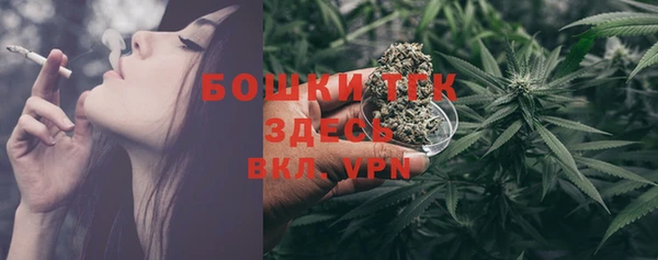 прущие грибы Липки