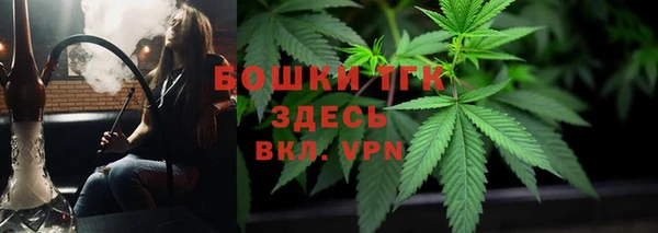 прущие грибы Липки
