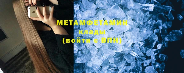 прущие грибы Липки