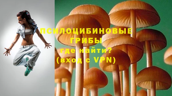 прущие грибы Липки