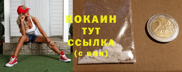 прущие грибы Липки