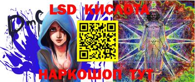 дмт Кимры