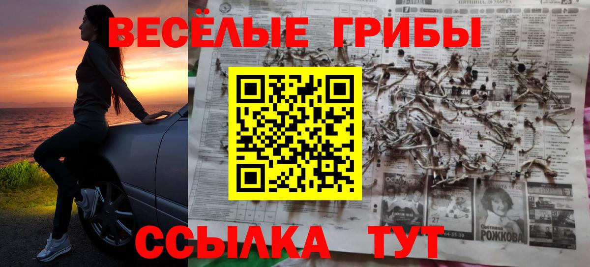 Холмск  Галлюциногенные грибы Magic Shrooms  Вход с VPN 