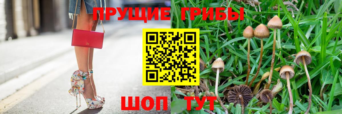 Псилоцибиновые грибы Magic Shrooms Холмск